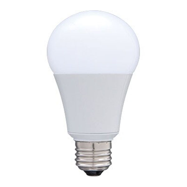 Lampe LED B22 9W (100 unité) – www.misterelec.ma